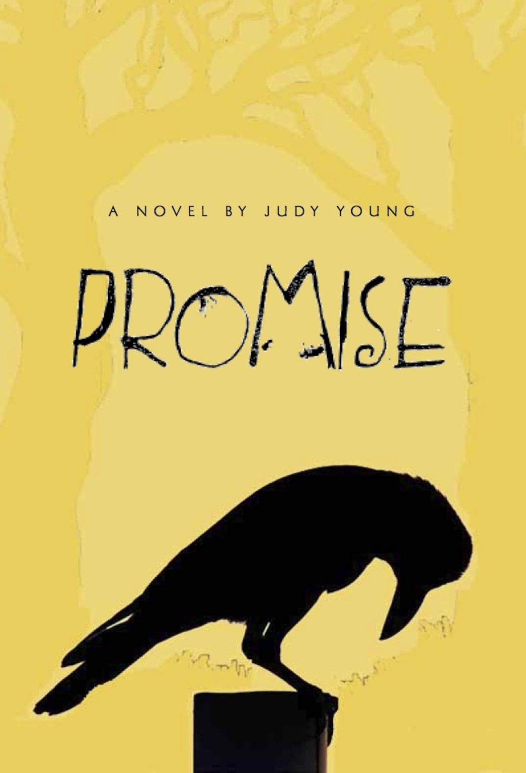 Promise Judy Young Books